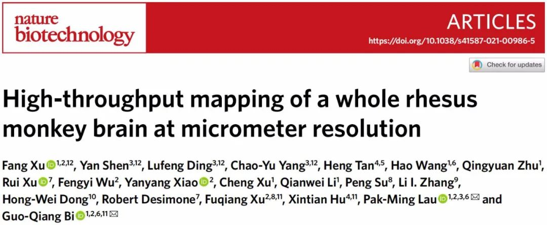 Nat Biotech重磅！100小时完成猕猴大脑高清三维测绘