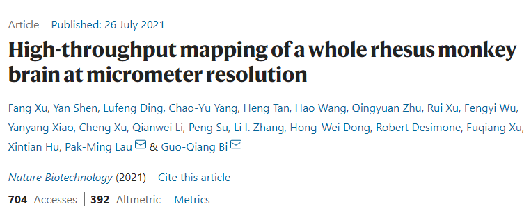 100小时完成迄今最高精度猕猴脑图谱测绘！中国科学家自研世界最快大尺度三维显微成像技术，将加速人脑解析进程丨专访